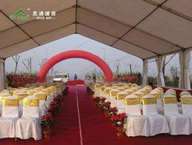 8461568940882570.jpg 1.jpg